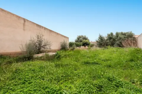 Terreno en Sant Llorenç des Cardassar