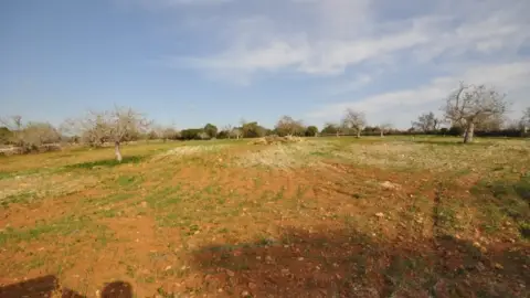 Finca rústica en Sant Llorenç des Cardassar