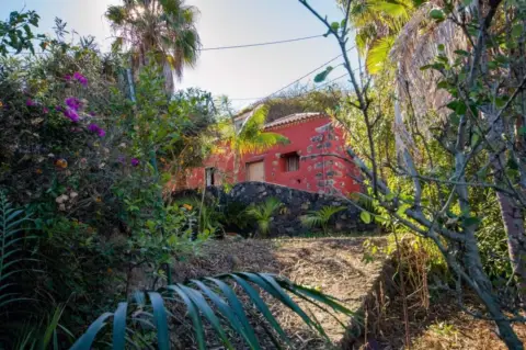 Finca rústica en La Vega-El Amparo-Cueva del Viento