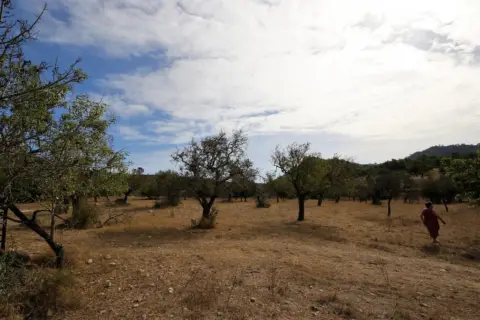 Finca rústica en Sant Llorenç des Cardassar