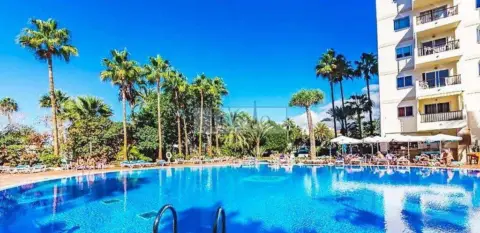 Estudio en Playa de Las Américas