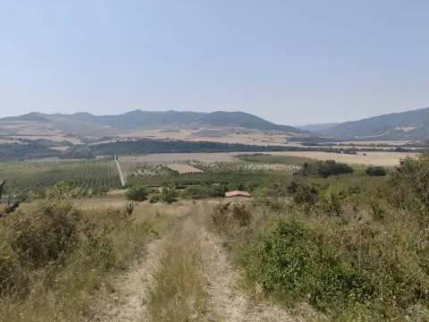 Terreno en calle Finca 2365, nº Sin Informacion