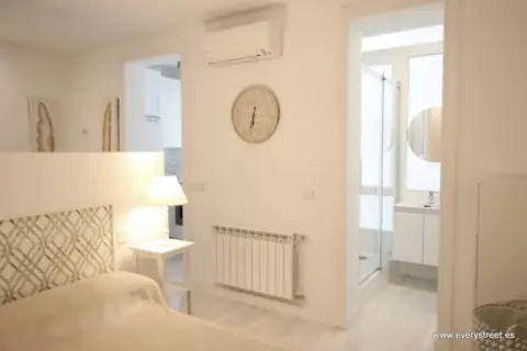 Loft en calle de Goya