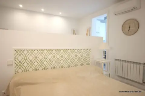 Loft en calle de Goya