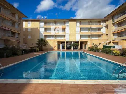 Ático en calle Canyissar Del