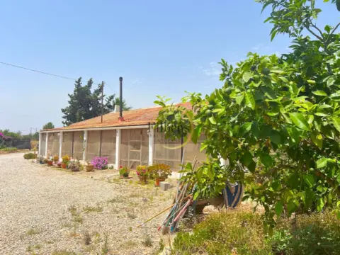 Finca rústica en Murcia, Fuente Alamo, Campillo de Abajo