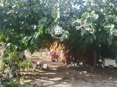 Chalet en Platja de Mont-roig