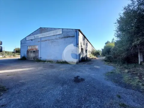 Nave industrial en Avenida Lavandeira