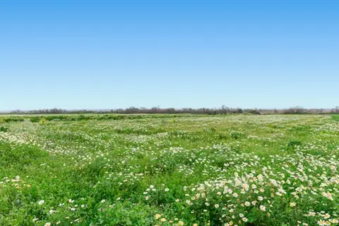 Finca rústica en Campos