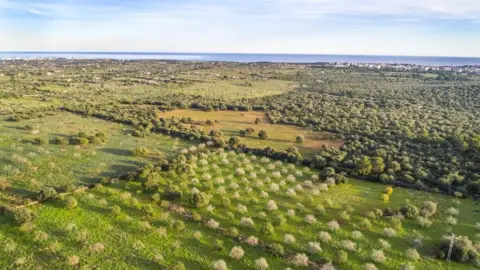Finca rústica en Porto Cristo