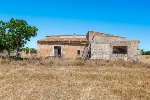 Finca rústica en Manacor