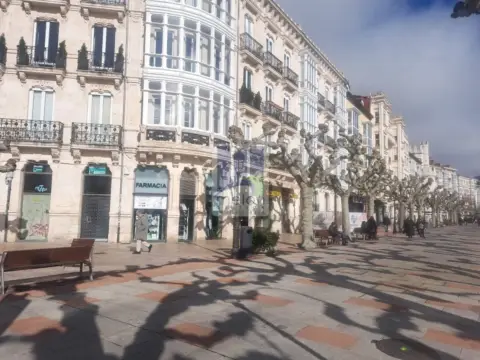 Local comercial en calle de Eduardo Martínez del Campo