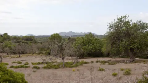 Finca rústica en Artà