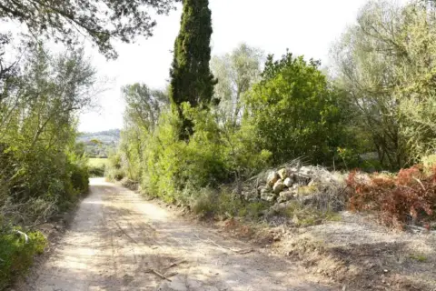 Finca rústica en Son Macià