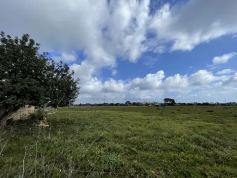Finca rústica en Son Servera