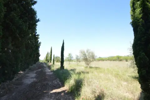 Finca rústica en Zona Rural