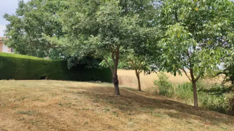 Terreno en calle de las Eras, 5