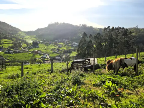 Casa en calle El Robledal - Traspando, nº Sin Informacion