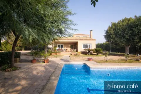 Chalet en calle Partida Alzabaras Alto, nº 1239
