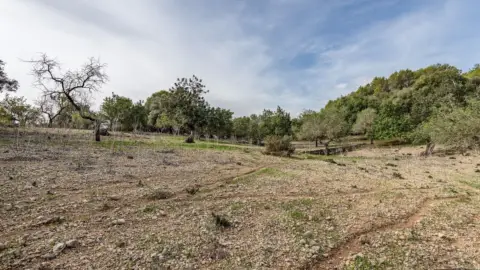 Finca rústica en Ullaro
