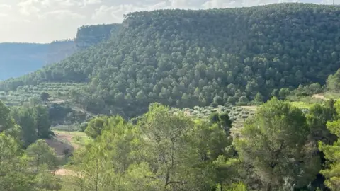 Finca rústica en Valencia