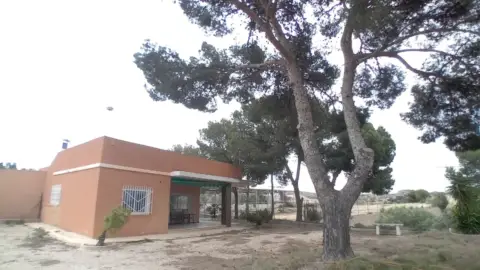 Finca rústica en calle Pd Carrus 2281 03205 Elche, nº 2281