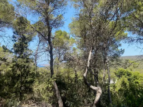 Terreno en Carrer d'Andratx