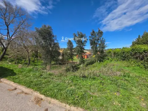 Terreno en calle Serrallomga