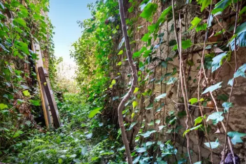 Casa en Vilafranca de Bonany