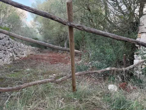 Terreno en Son Carrió