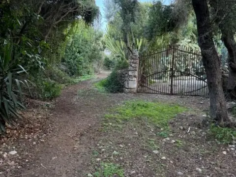 Terreno en Son Carrió
