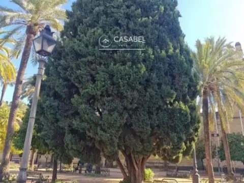 Chalet en Casco Histórico-Ribera-San Basilio