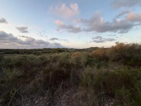 Terreno en Son Carrió