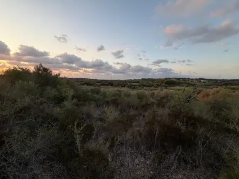 Terreno en Son Carrió
