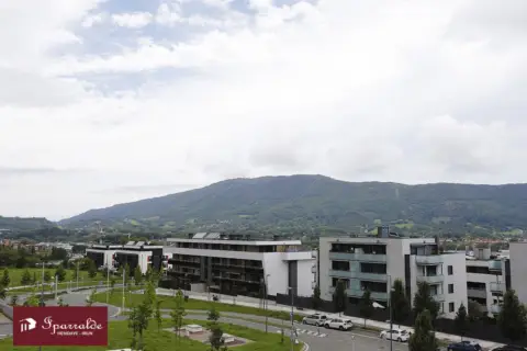 Garaje en calle de Piketazaharra