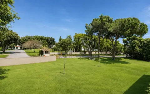 Pis – Sotogrande