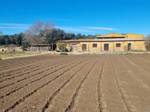 Finca rústica en calle Paratge Sorrell, nº 3