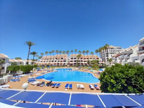 Estudio en Playa de Las Américas