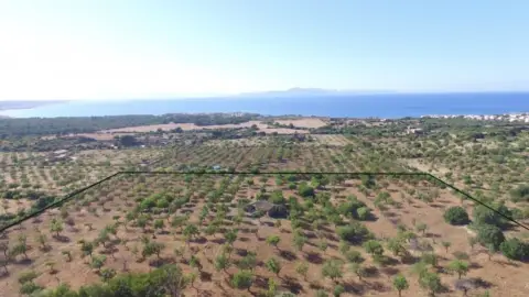Finca rústica en Colònia de Sant Pere
