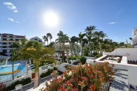 Estudio en Costa Adeje