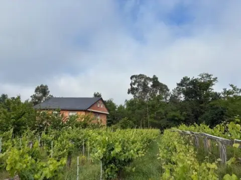Finca rústica en A Tan Solo 10 Minutos del Cento de Porriño