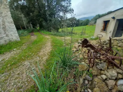Casa en Finca Rústica en Selva (Baleares)