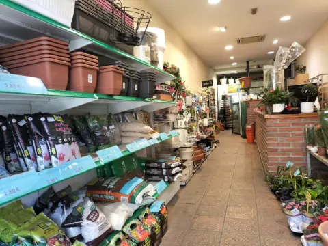 Local comercial en Junto Mercat Central