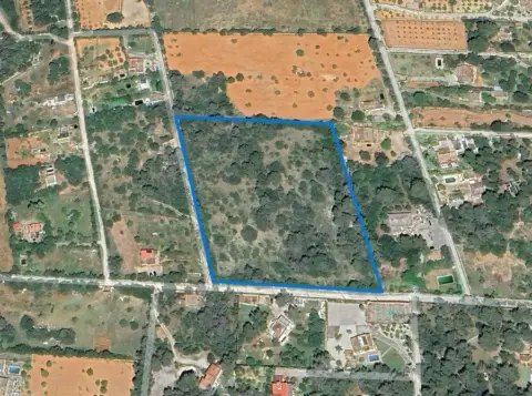 Finca rústica en Algaida  Tancats Des Morts  A 10 Minutos de Palma