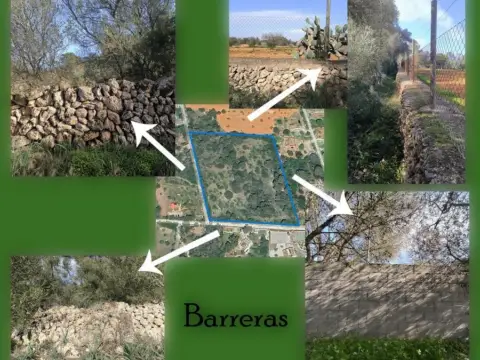 Finca rústica en Algaida  Tancats Des Morts  A 10 Minutos de Palma