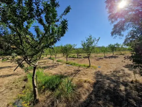 Finca rústica en Muy Cerca de La Población
