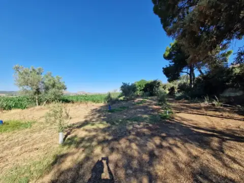 Finca rústica en Muy Cerca de La Población