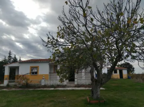 Finca rústica en Carretera en Frente de La Ermita de Arroyo de La Luz