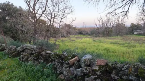 Finca rústica en Finca Rústica en El Paraje de Las Barrigadillas