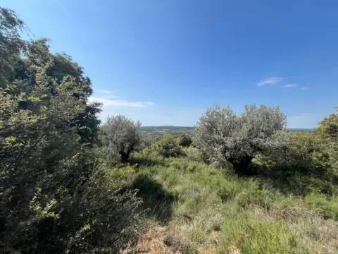 Finca rústica en Zona Alta de La Población